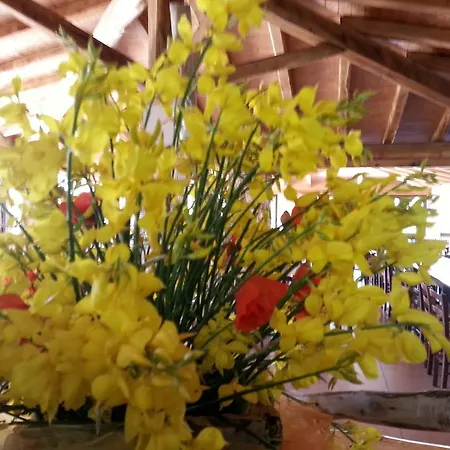 Alloggio per agriturismo Agriturismo Monte Fenosu *